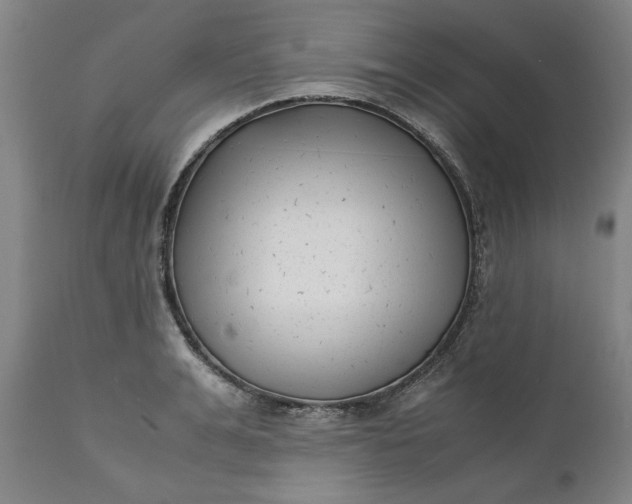 X0000111630991200907311222