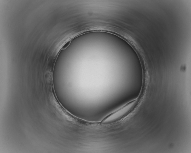 X0000111630993200907311222