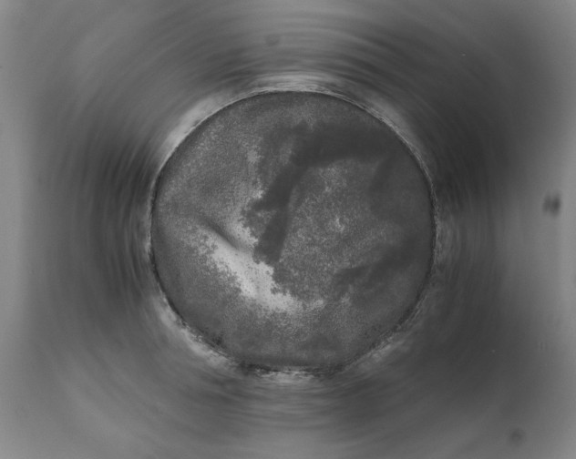 X0000111630994200907311222