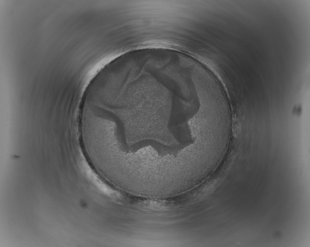 X0000111630995200907311222