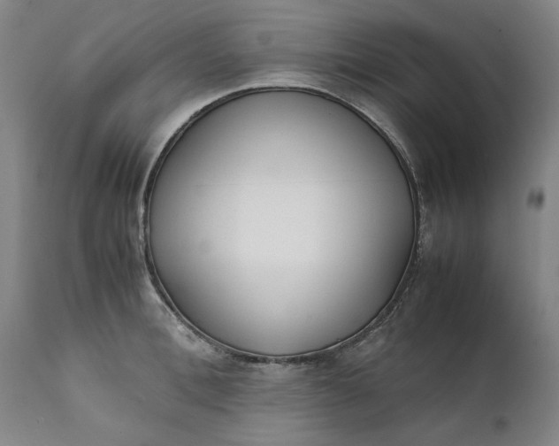 X0000111630996200907311222