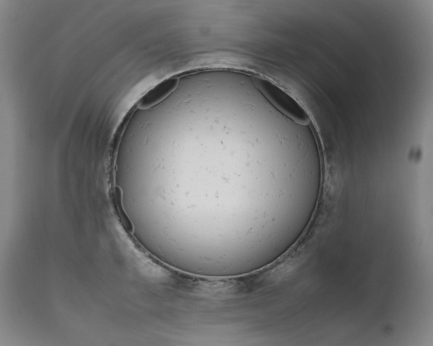 X0000111630997200907311222