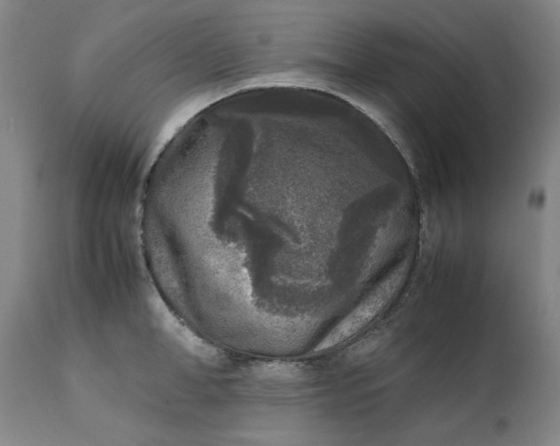 X0000111630998200907311222