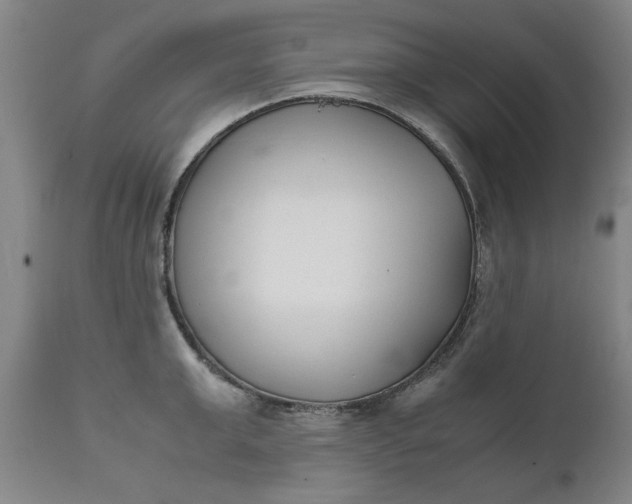 X0000111630999200907311222