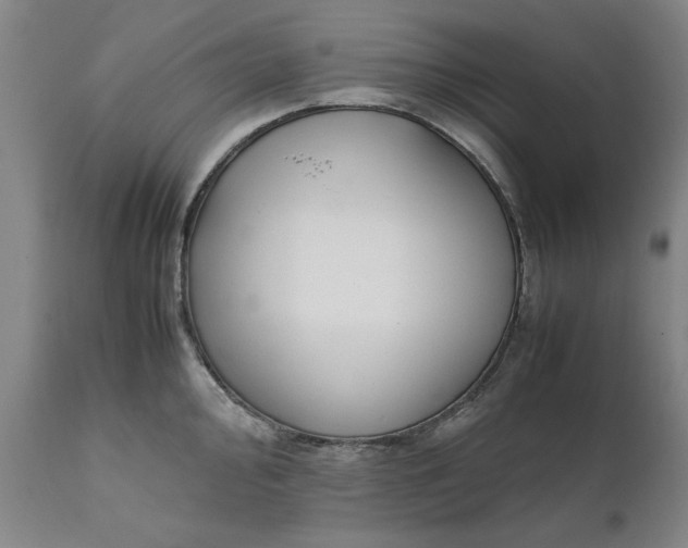 X0000111631000200907311222