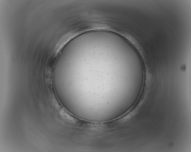 X0000111631001200907311222