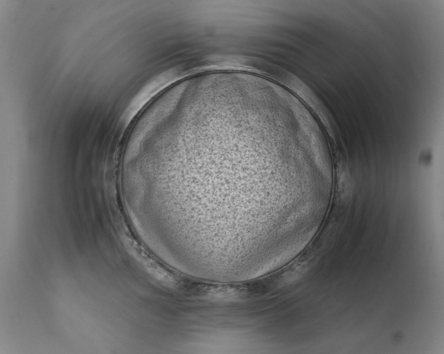 X0000111631002200907311222