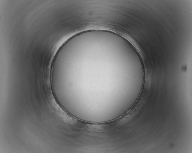 X0000111631004200907311222