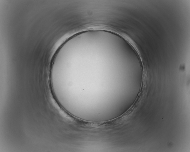 X0000111631005200907311222