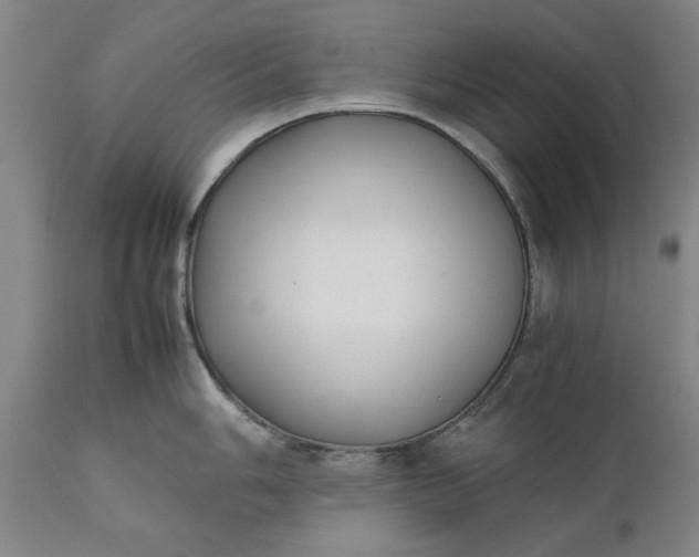 X0000111631006200907311222