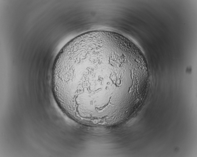 X0000111631007200907311222