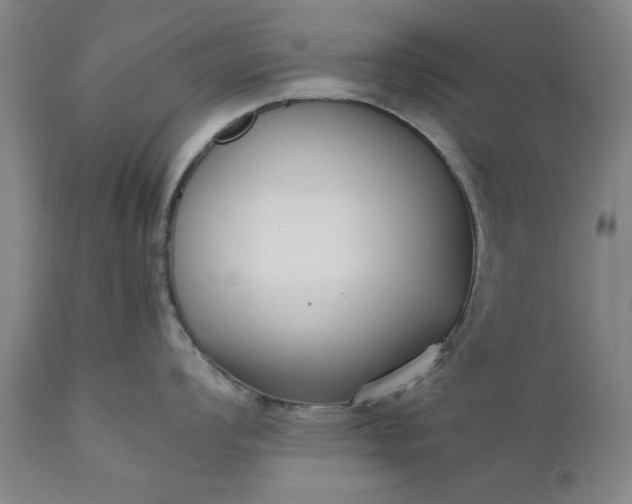 X0000111631008200907311222