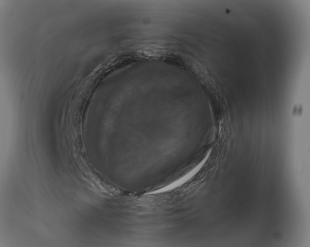 X0000111631009200907311221