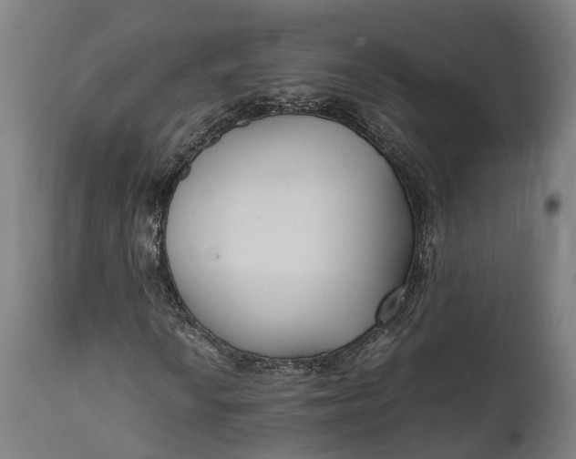 X0000111631010200907311221