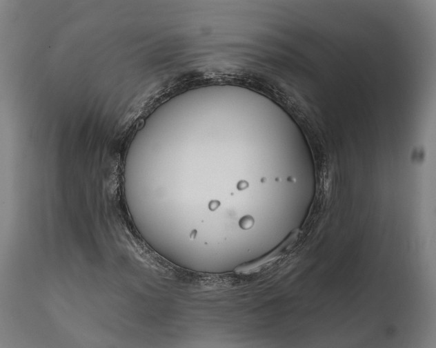 X0000111631012200907311221