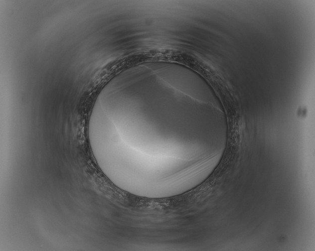 X0000111631013200907311221