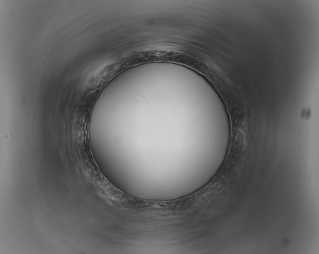 X0000111631014200907311221