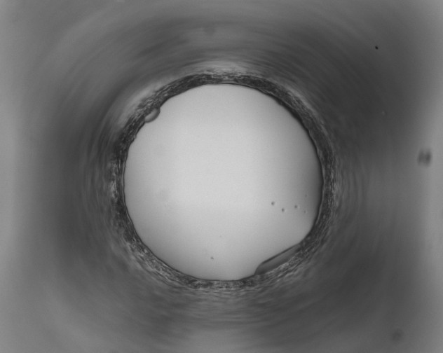 X0000111631016200907311221