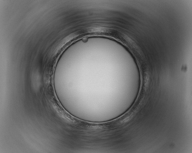 X0000111631017200907311221