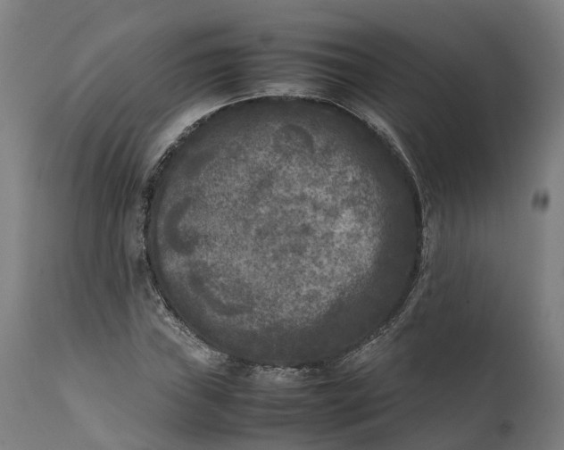 X0000111631019200907311221