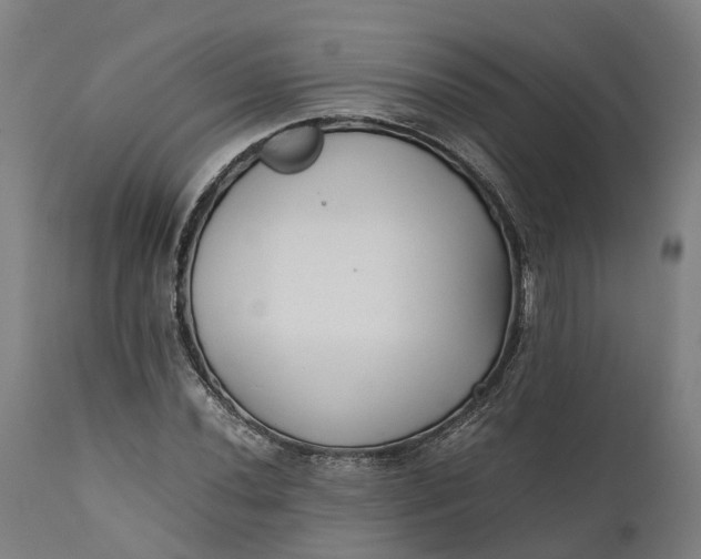 X0000111631020200907311221