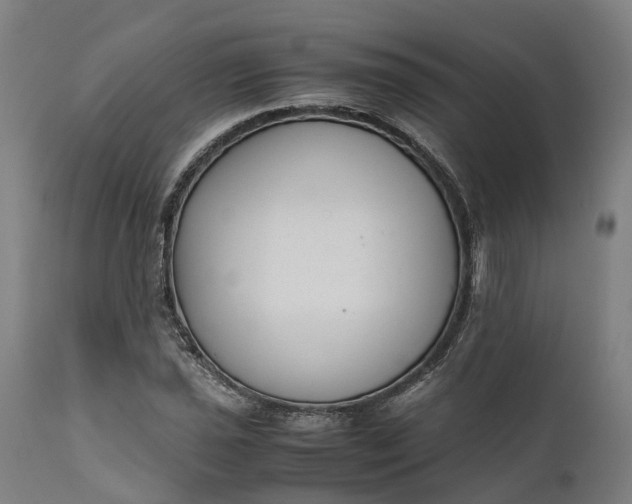 X0000111631021200907311221