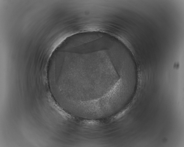 X0000111631023200907311221