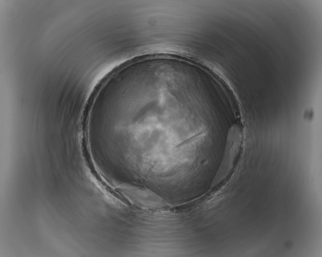 X0000111631024200907311222