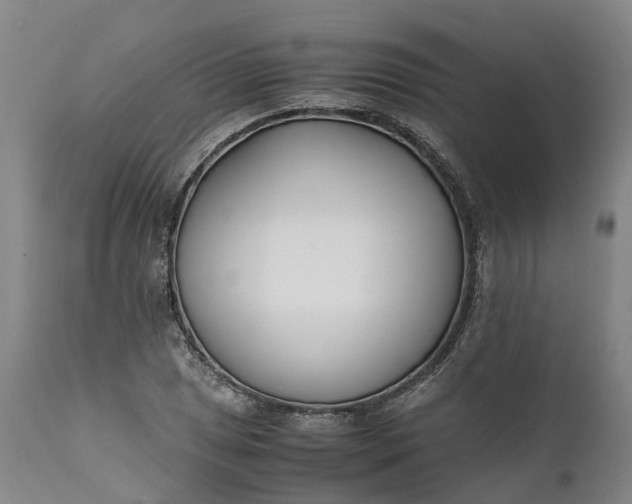 X0000111631025200907311222