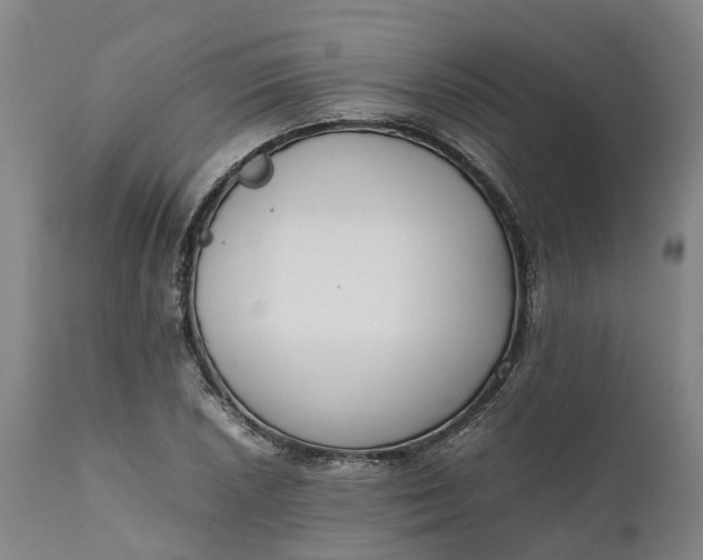 X0000111631026200907311222