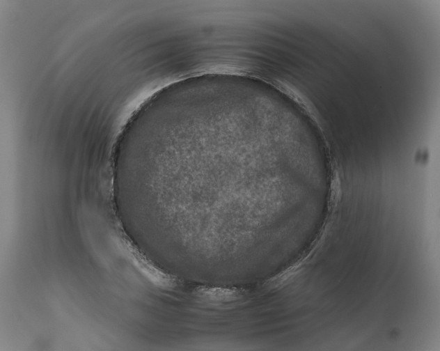 X0000111631027200907311222