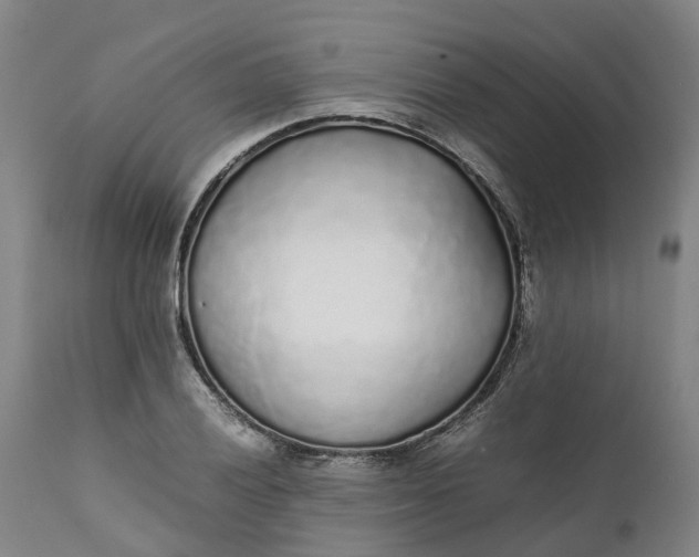 X0000111631028200907311222