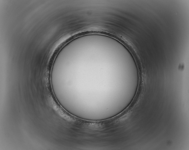 X0000111631029200907311222