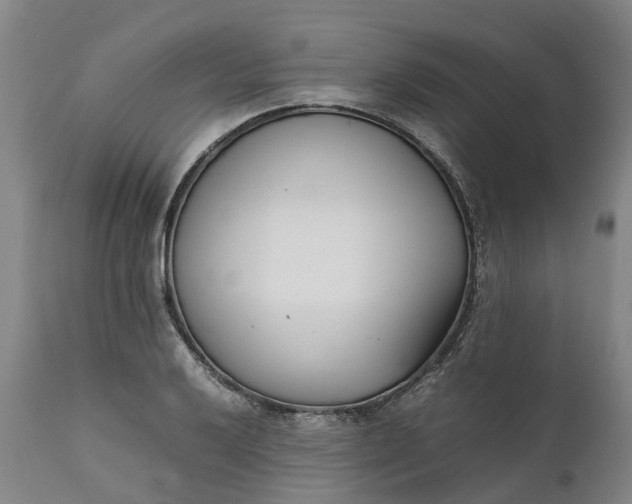 X0000111631032200907311222