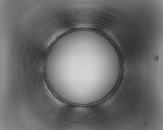 X0000111631033200907311222