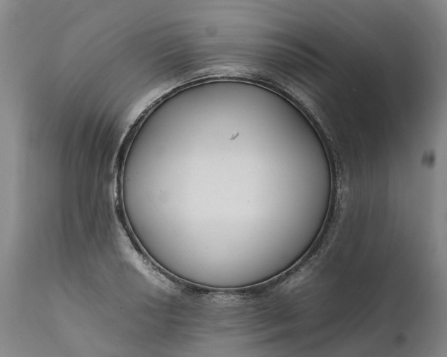 X0000111631034200907311222