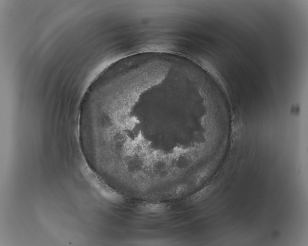 X0000111631035200907311222