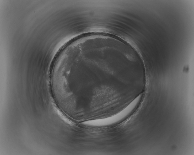 X0000111631037200907311222