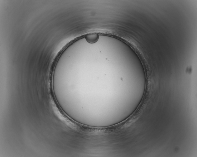 X0000111631038200907311222