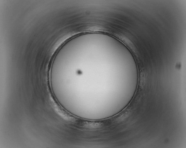 X0000111631039200907311222