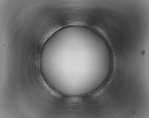 X0000111631041200907311222