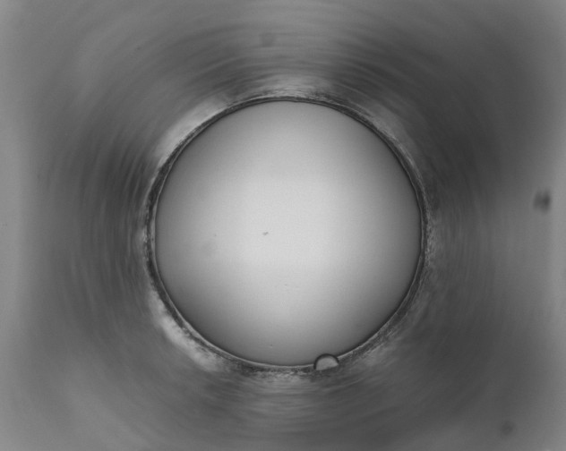 X0000111631042200907311222