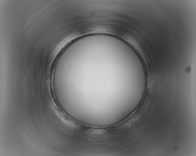 X0000111631043200907311222