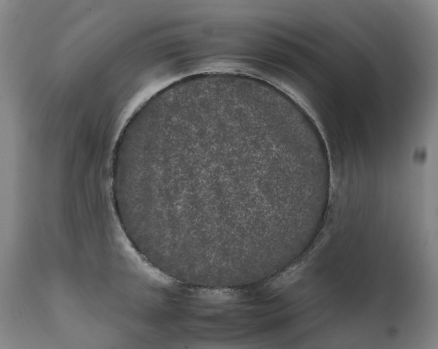 X0000111631045200907311222