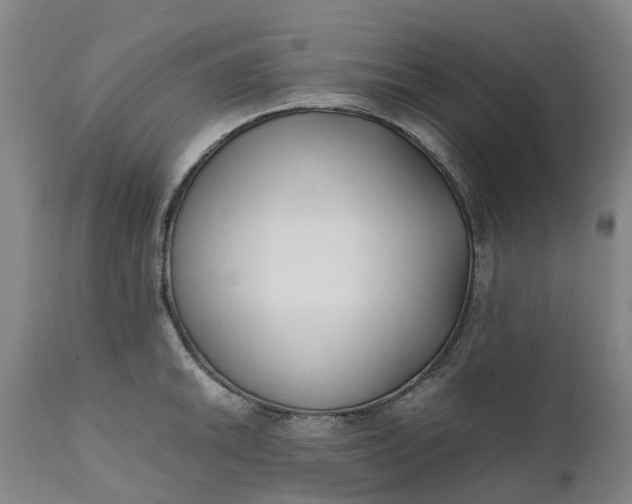 X0000111631046200907311222