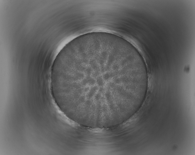 X0000111631048200907311222