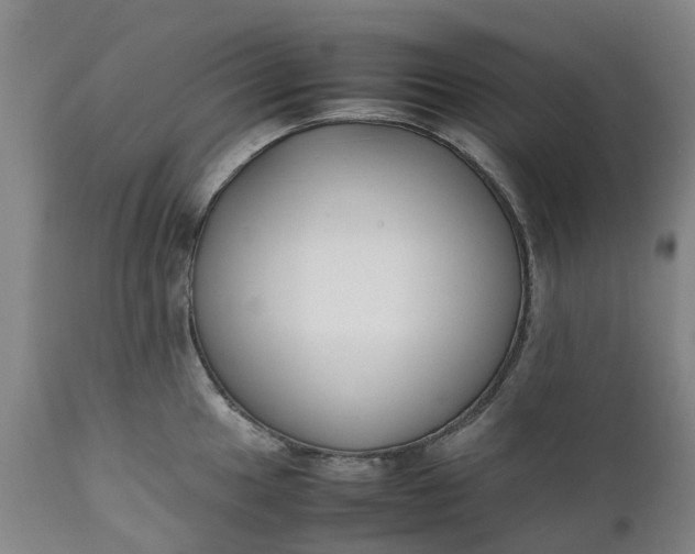 X0000111631049200907311222