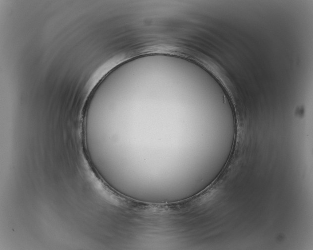 X0000111631050200907311222