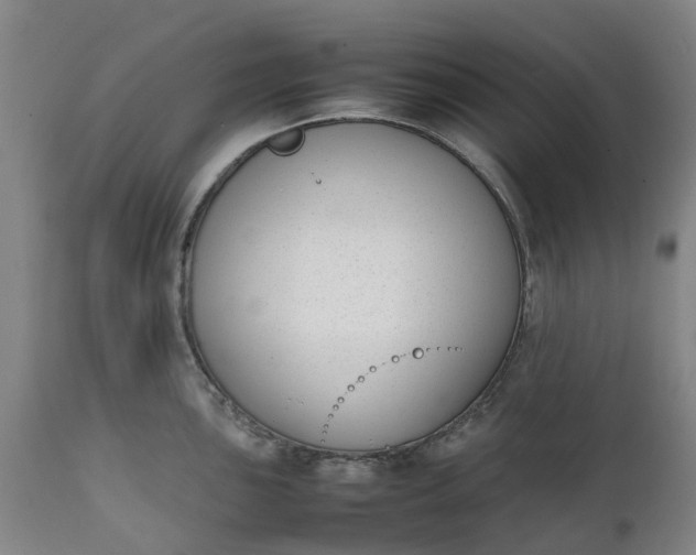 X0000111631051200907311222