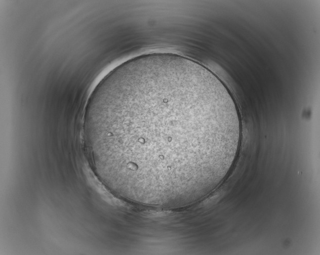 X0000111631052200907311222